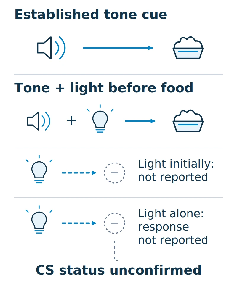 A tone already predicts food. A light is added with the tone, but the light's initial response and light-alone response are not reported, so its CS status is unconfirmed.